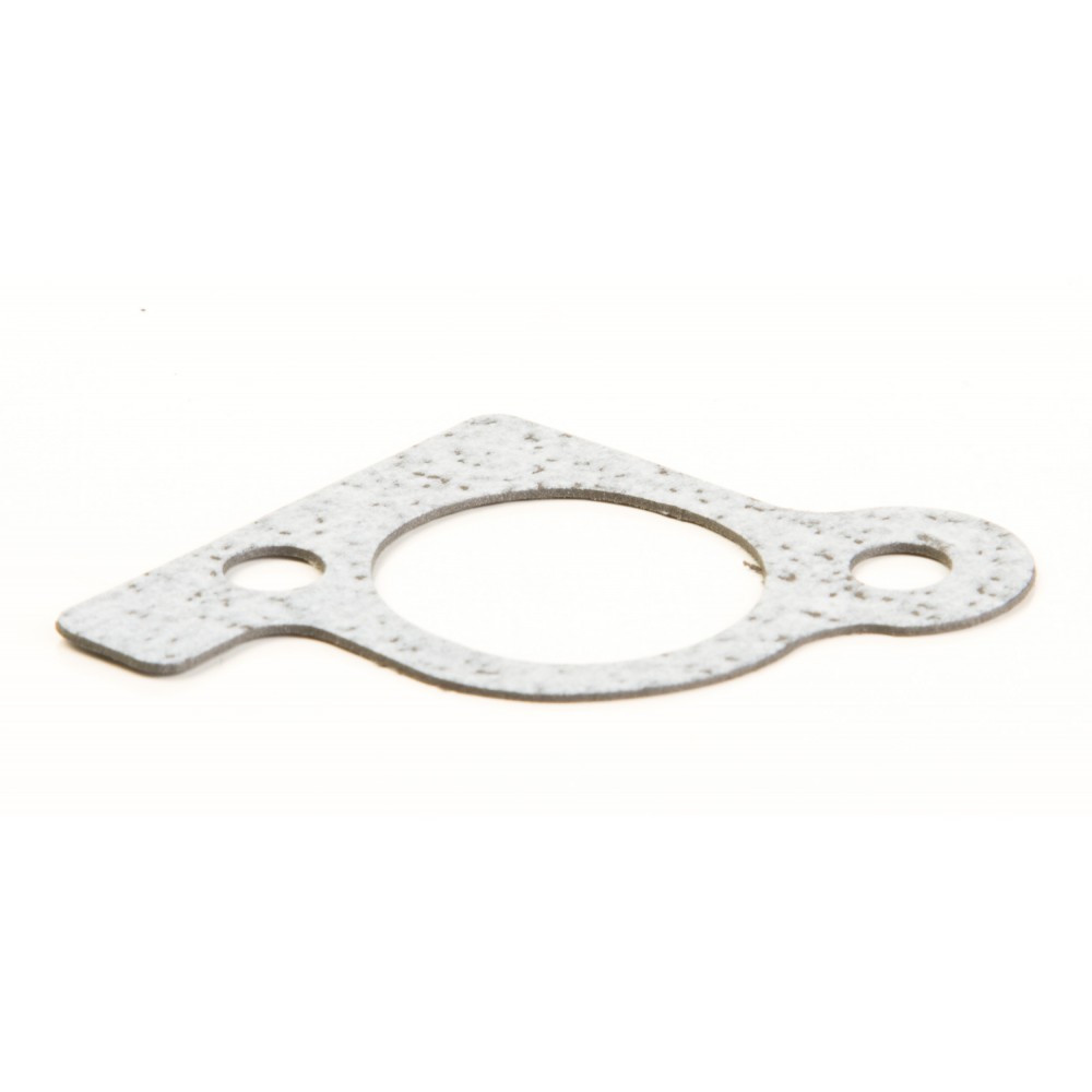 Briggs & Stratton Intake Gasket | B&S 806418