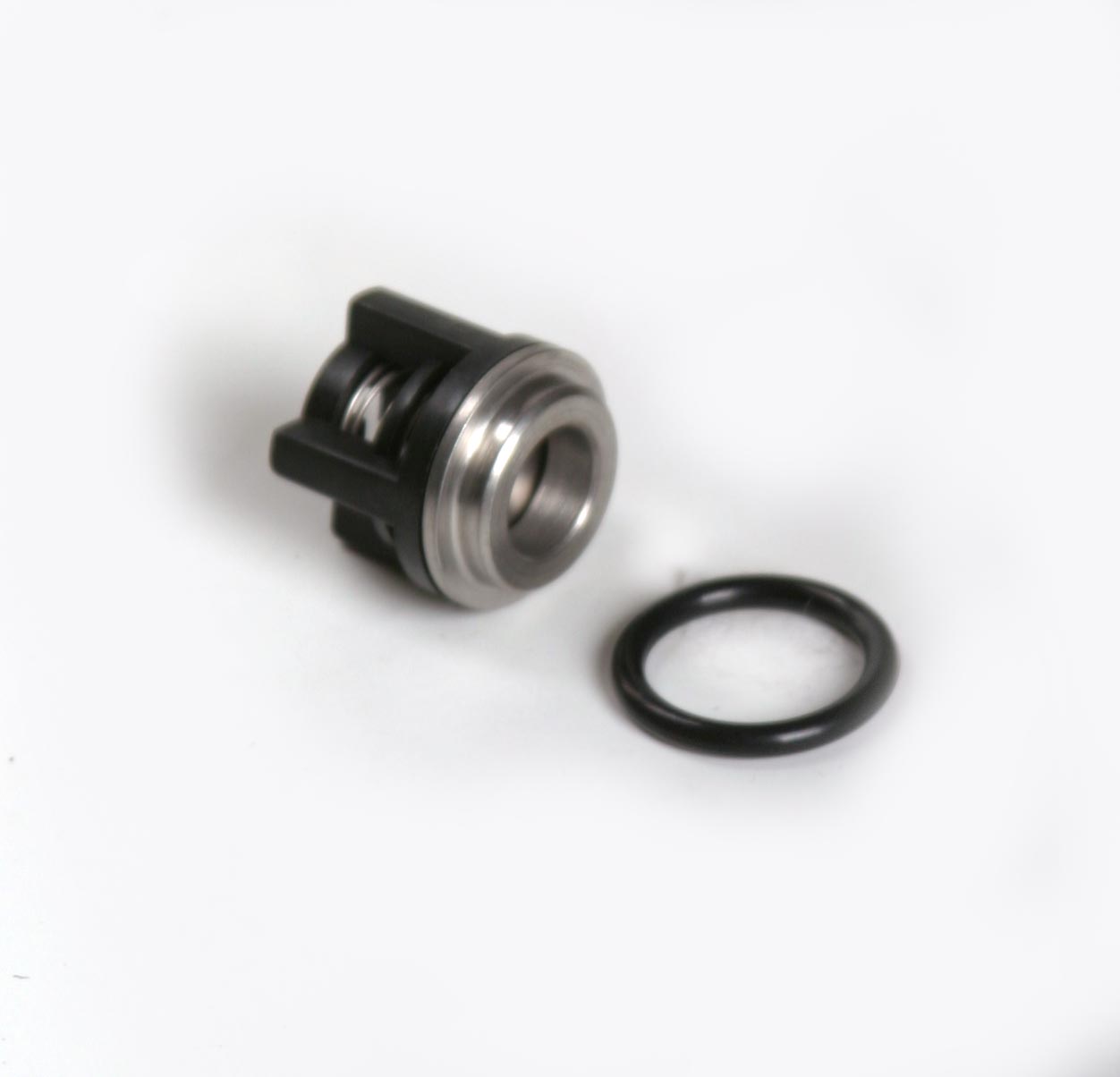 Last Step Chemical System Pump Head Check Valve | 169-155