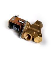 LP Water Solenoid Valve – 12 Volt | 169-120